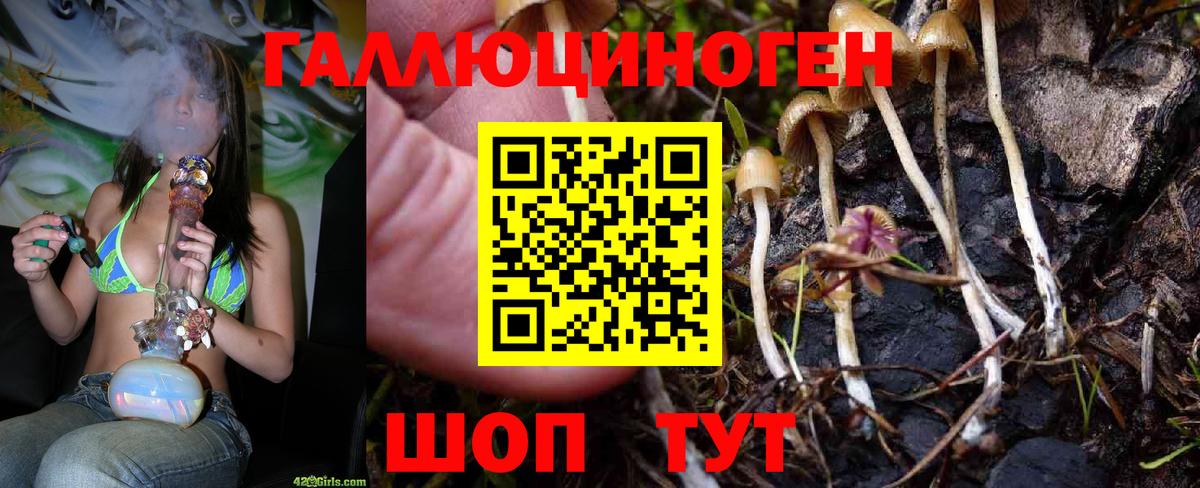Псилоцибиновые грибы мухоморы Вязьма
