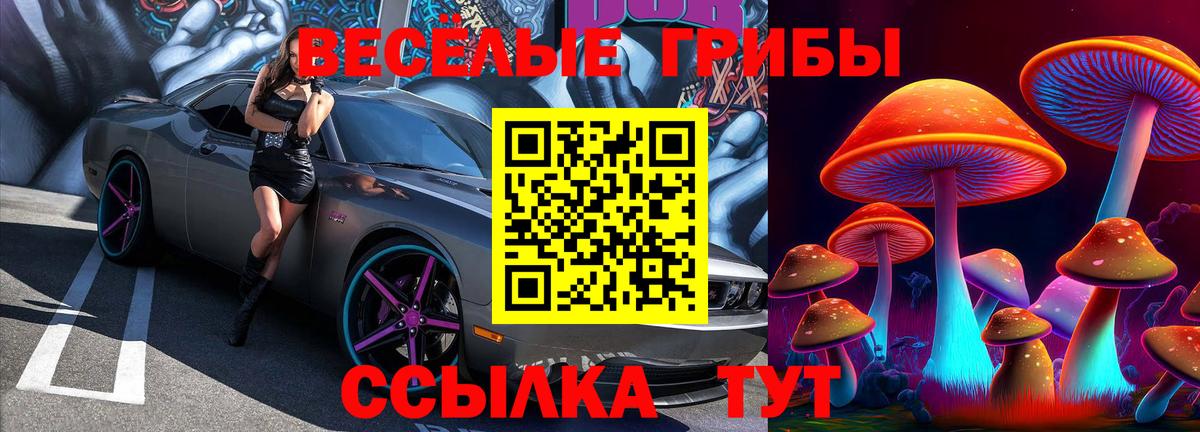 Вязьма  Псилоцибиновые грибы прущие грибы  магазин    Вход с VPN 
